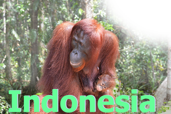 indonesia