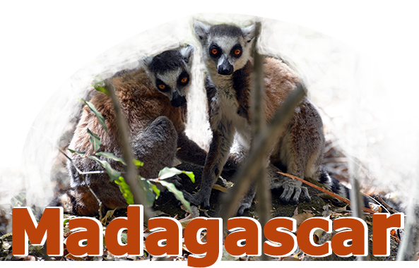 Madagascar