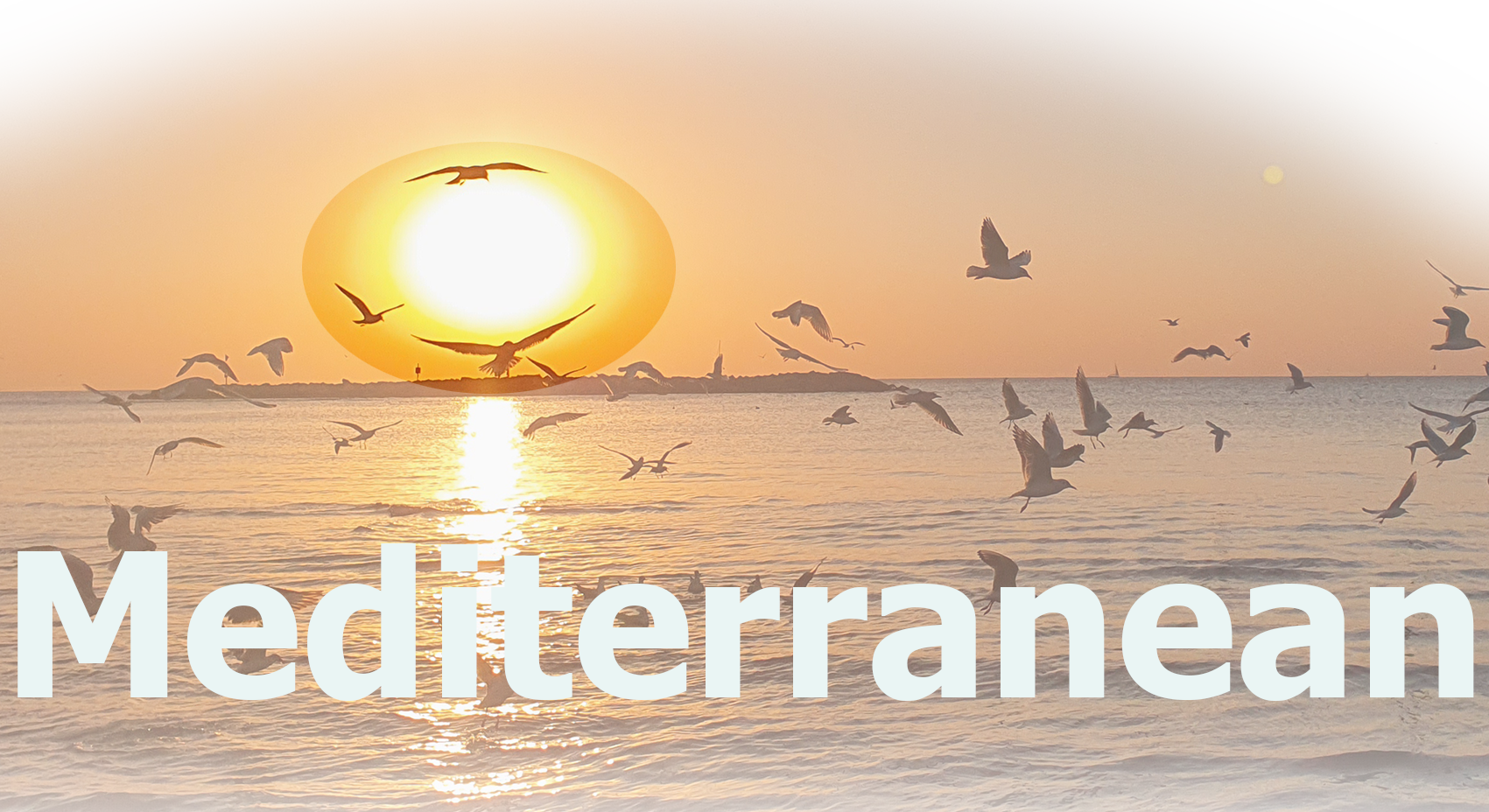 Mediterranean